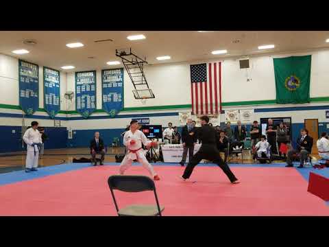 WKF Karate vs American Kenpo Karate