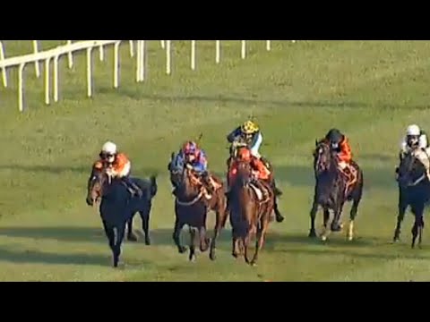 La ricetta di Miki Cadeddu: cavalli tedeschi, caffè italiano