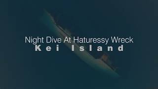 preview picture of video 'Night Dive at Haturessy Wreck, Kei Islands, Indonesia'