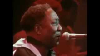 Muddy Waters: The Blues Had A Baby (And They Named Rock and Roll)