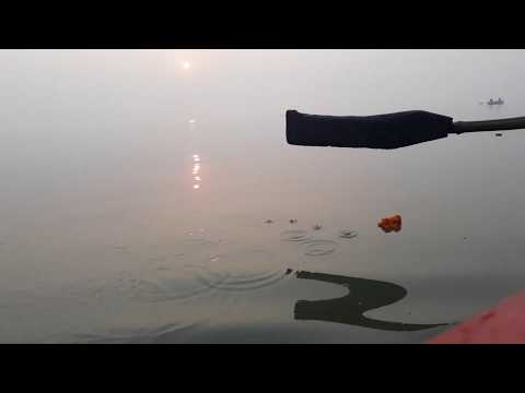 Vishal Yadav & jèREmy LamuZik « Martin de Bénarès »