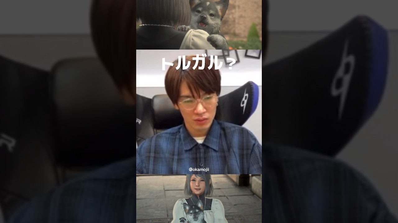 FF16“トルガル”（犬）に激ハマりする #深澤辰哉 #snowman #jgr #shorts
