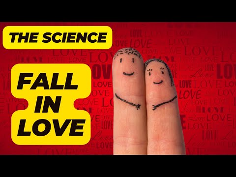 The Science of Falling in Love - Neuroscience explains
