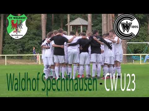 SV Waldhof Spechthausen - FC Concordia Wilhelmsruh u23