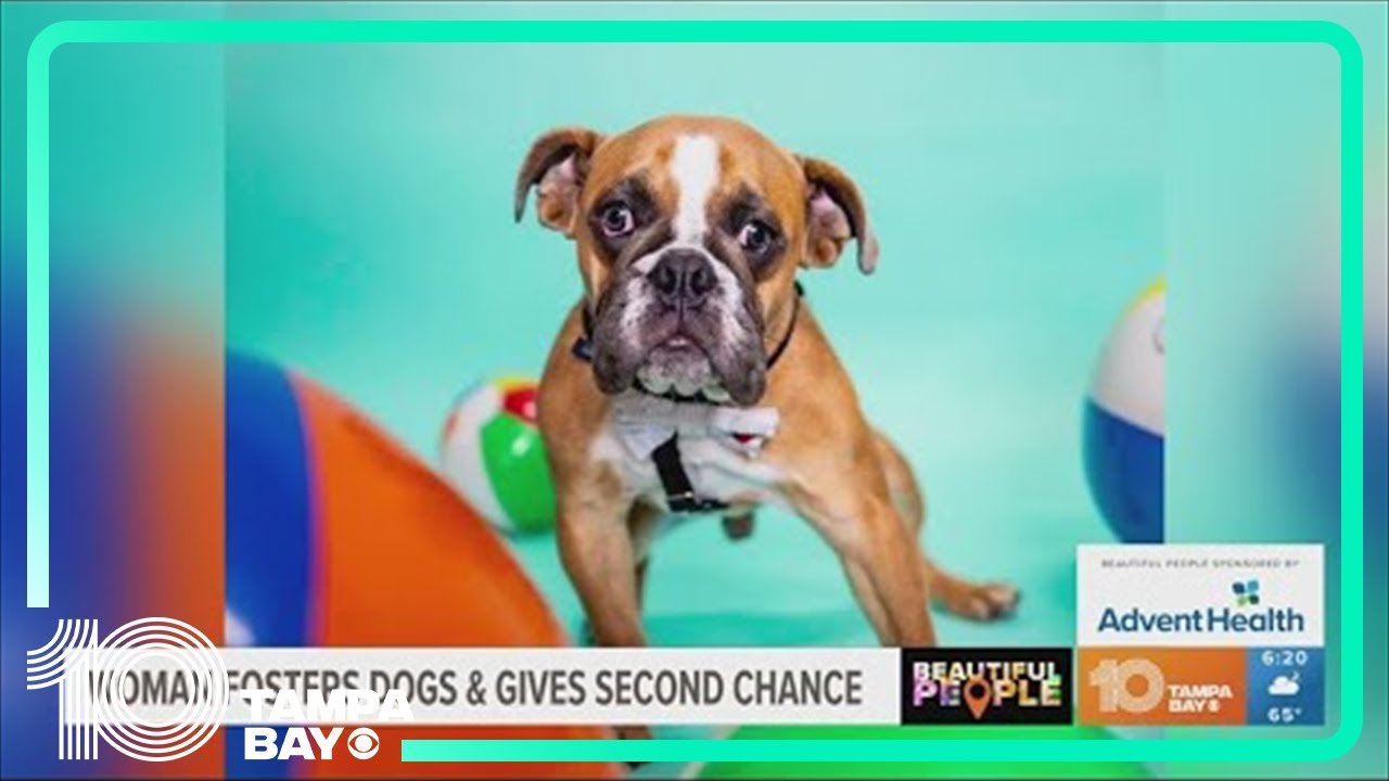 Beautiful People: Karey takes care of dogs with serious medical issues