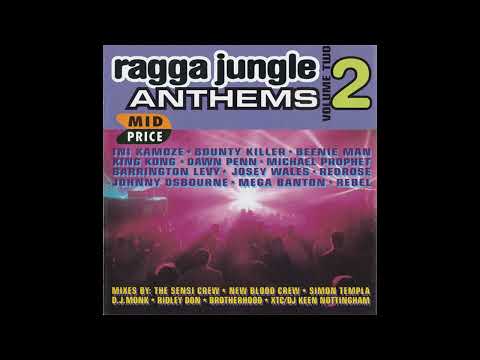Various - Ragga Jungle Anthems Vol. 2 (1996)