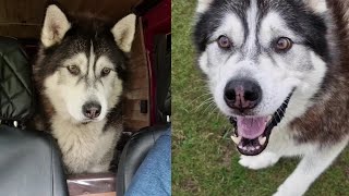 He Thought He Lost it, But then I Found It Again!