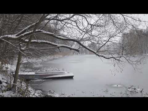 Say it / John Coltrane Quartet With McCoy Tyner, Jimmy Garrison & Elvin Jones