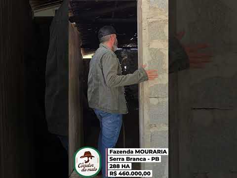 🌾 FAZENDA MOURARIA – SOLO MINERALIZADO E EXCELENTE CUSTO-BENEFÍCIO NO CARIRI PARAIBANO 🌾
