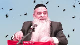 הרב רפאל זר |  יש אנשים שדומים לזבובים מחפשים רק רע! (הרב רפאל זר) - התמונה מוצגת ישירות מתוך אתר האינטרנט יוטיוב. זכויות היוצרים בתמונה שייכות ליוצרה. קישור קרדיט למקור התוכן נמצא בתוך דף הסרטון