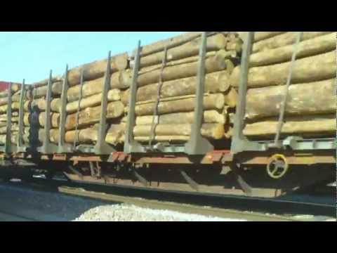 Comboios de transporte de madeira