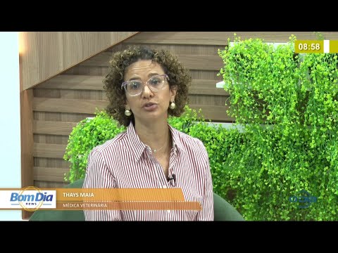 Dicas e cuidados com pets no periÌodo mais quente do ano 04 10 2021