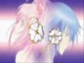 Shugo Chara Circus
