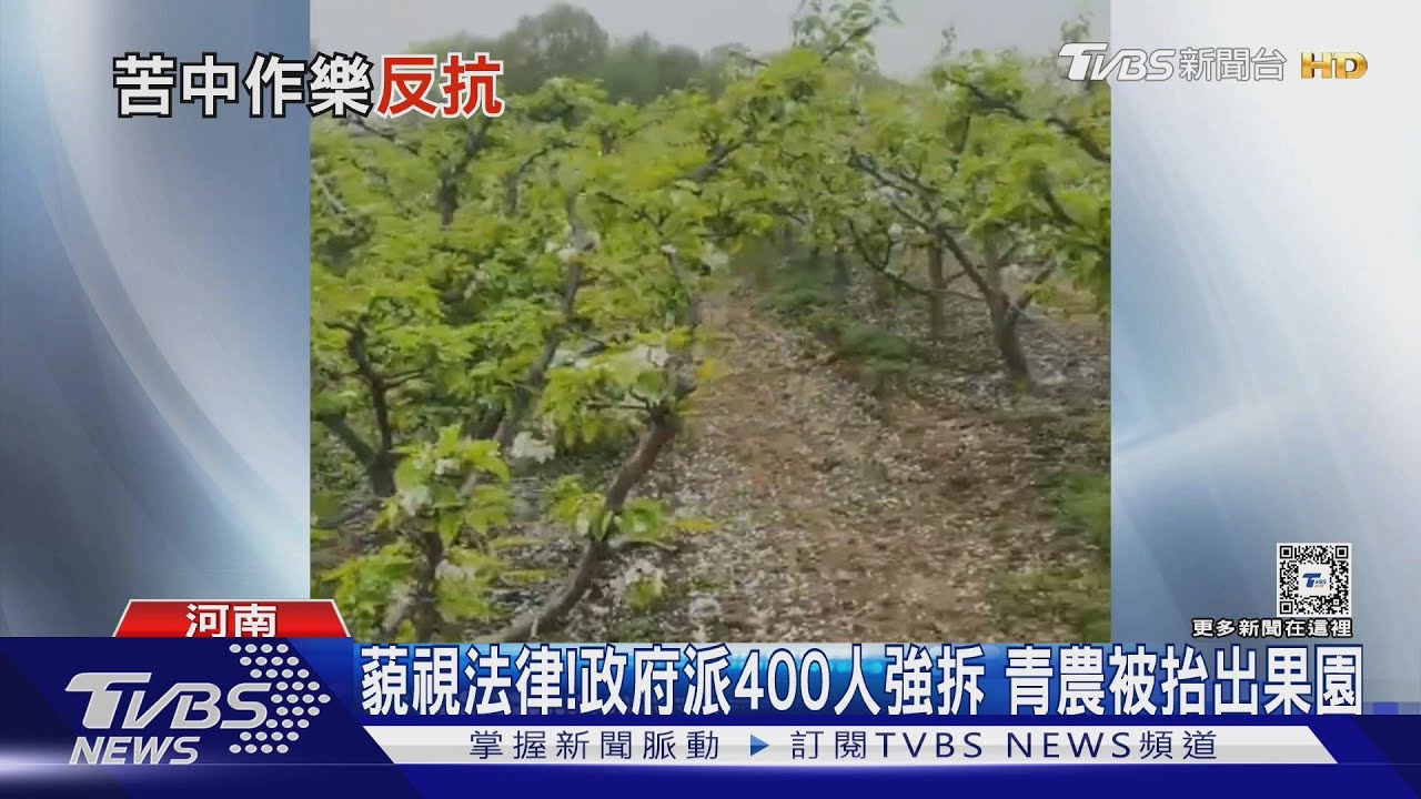 官逼民反!河南建高速公路 強拆青農創業果園