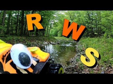 Letter Hunt! Swampy Returns to Alphabet Forest to find Letters (and Animals)