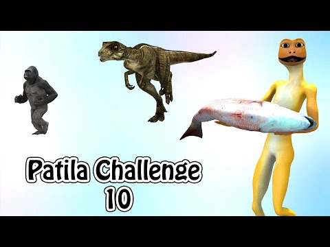 Patila Challenge 10. Patila - Missed The Stranger Gorilla & Dinosaur Funny Animated Short Film.
