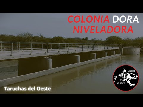 Pesca, Niveladora, Colonia Dora, Santiago del estero.