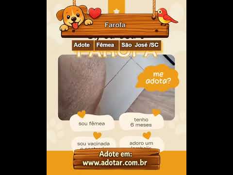 Vídeo de Farofa