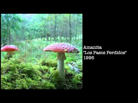 Los Pasos Perdidos by Amanita
