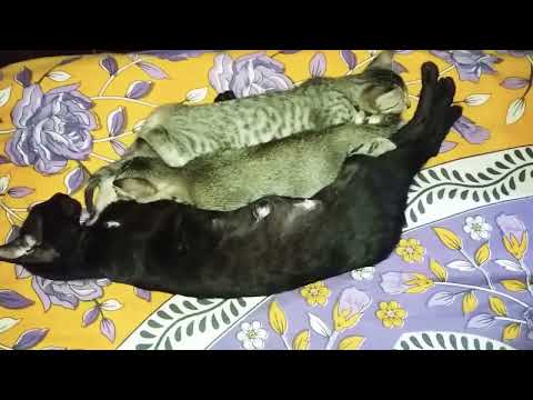 Innocency personified @dolanaretumidolanandyou5519