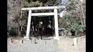 リアルの神社に散歩してきました
