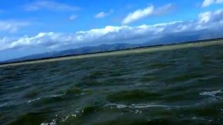 Lake Ellesmere Fyran dinghy Johnson 6HP