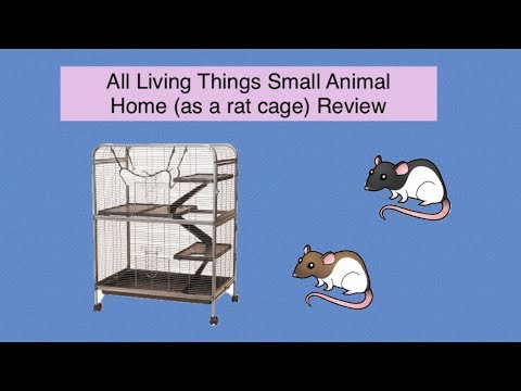 All Living Things Small Animal Cage (as a rat cage) Review