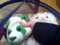 At Build A Bear Making 4 Bears Part 1