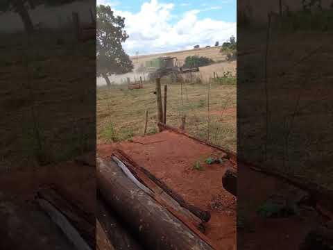 Centenário da sul, PR, Sítio dos Guerreiros. Colheita de soja #parana #soja #guerreiros