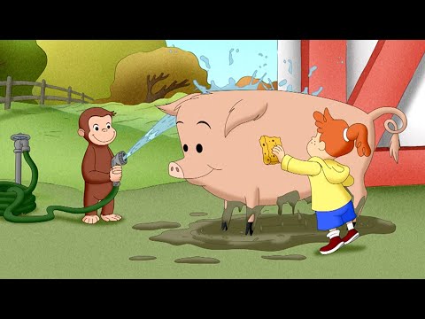 Jorge le ayuda a Howie el cerdo | Jorge El Curioso En Español