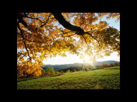 Miles Davis & Cannonball Adderley - Autumn Leaves