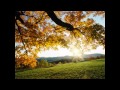 Miles Davis & Cannonball Adderley - Autumn ...
