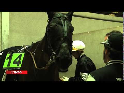 RAPIDE LEBEL - Reportage - Rentrée à Mons - 28/03/14