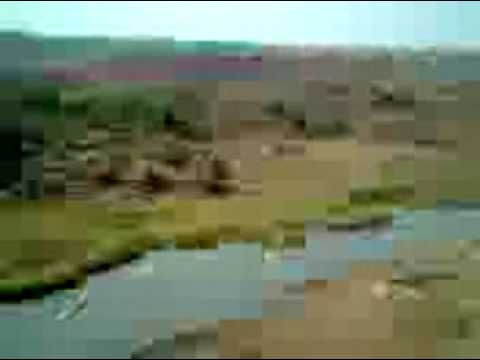 Crossing river Kane-Banda