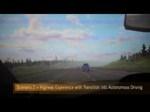 Video Image