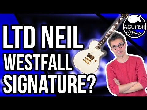 Neil Westfall Signature Guitar, The Way to Ask for Gear Demos, and Livestreaming?? || Q&A 14