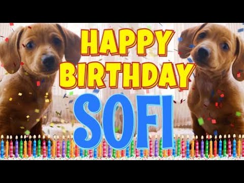 Happy Birthday Sofi! ( Funny Talking Dogs ) What Is Free On My Birthday