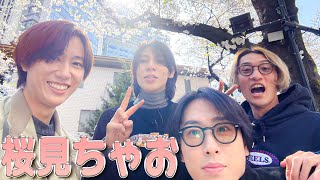 【すのちゅーぶ】お花見ドライブは六本木さくら坂・スペイン坂、セブンイレブンは芝大門 SnowManロケ地