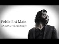 Pehle Bhi Main Animal Vishal Mishra Karaoke With Lyrics