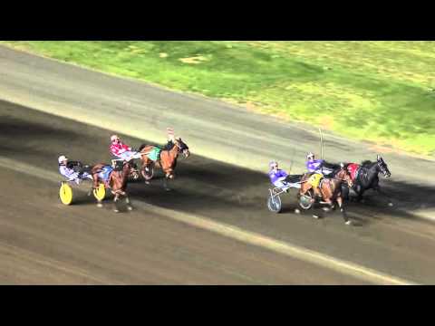 2015 TVG Free For All Mares Pace Features Rematch