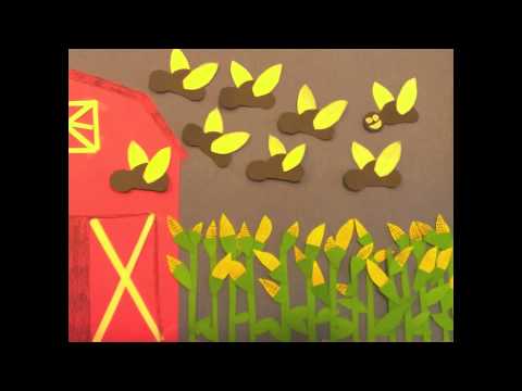 The Little Brown Bat