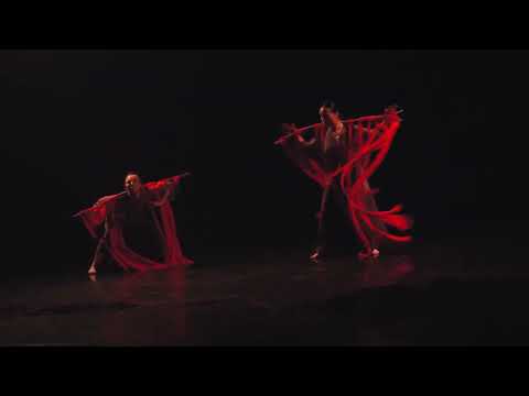 Ролик с фестиваля "Ноль +"