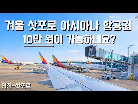 아시아나항공 이코노미 클래스 삿포로 여행 후기: 저가 항공사의 새로운 옵션?