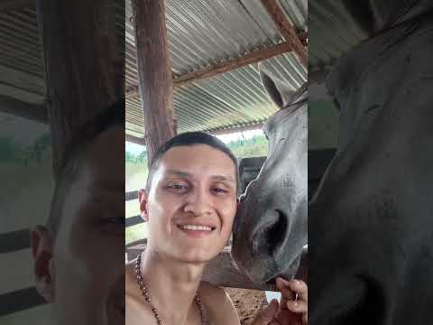 Paratebueno Cundinamarca