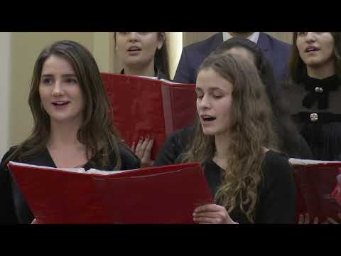 Amicus Timisoara   De as incerca ( 4k )