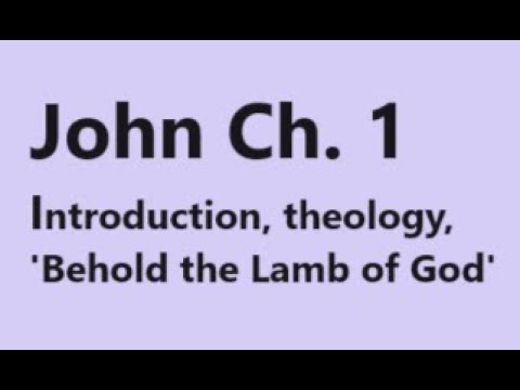 John 1: The Gospel of John, Catholic Bible Study, The Word became Flesh, Fr. Tim Peters