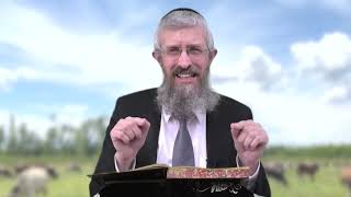 מסכת חולין דף יב - 8 דקות של לומדות ועמקות בדרך הלימוד הישיבתית [Hullin 12]