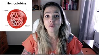 Blood Part 3 - Who are the red blood cells?