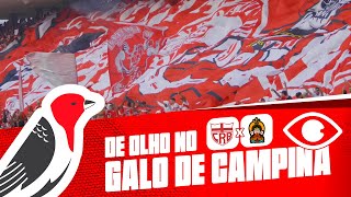 DE OLHO NO GALO DE CAMPINA - CRB X PORTO-BA