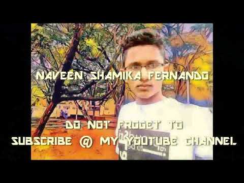 Wishwase Naveen Shamika Fernando